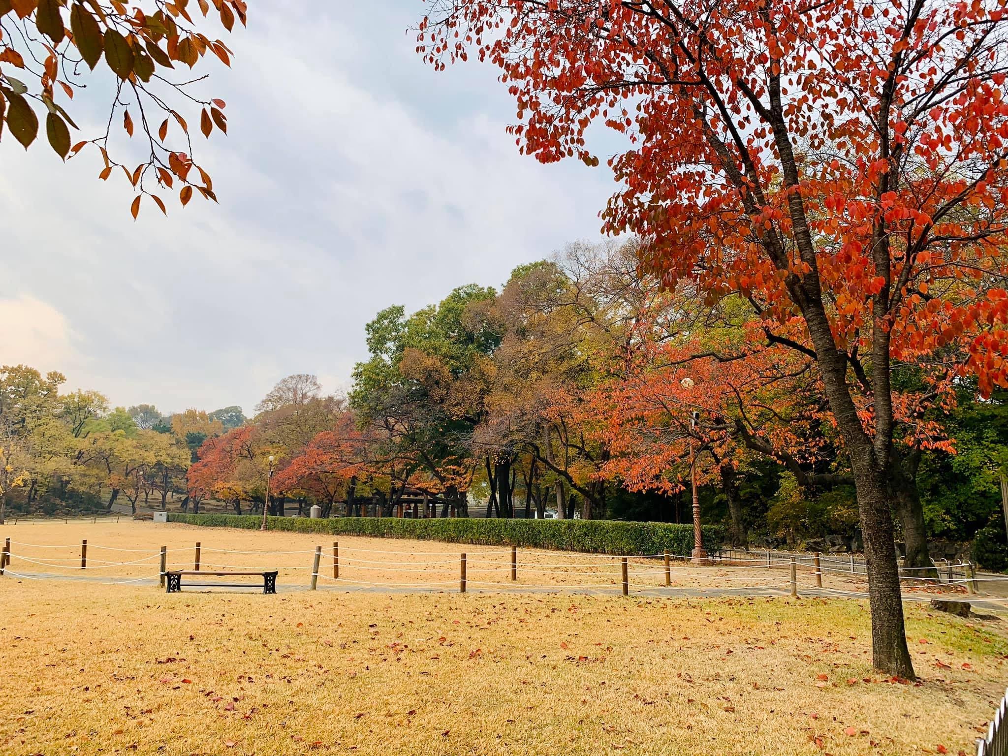 从步道俯拍，脚下土城垣与远处城景尽收眼底。